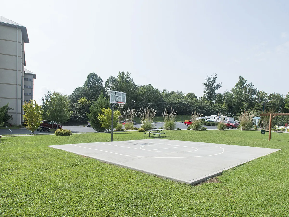 A basketball court surrounded by green grass and a park bench, where residents can play, relax, or enjoy a picnic. The mood is energetic and communal, suggesting active recreation and group gatherings.