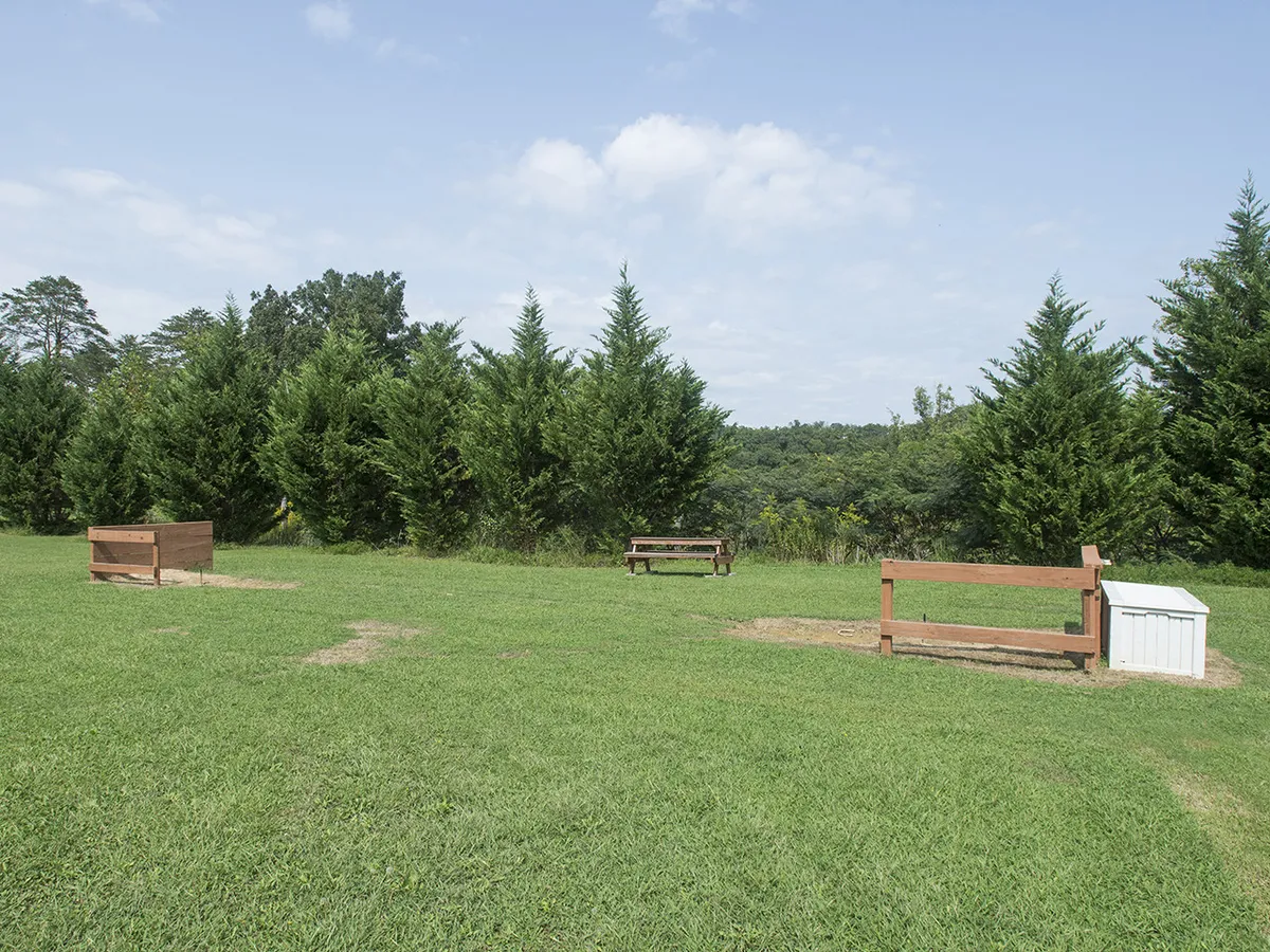 A peaceful grassy area with benches facing a tree line and open horizon, inviting guests to relax, enjoy picnics, and take in the natural beauty. The tranquil setting suggests space for group activities and quiet moments alike.